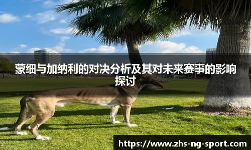 蒙细与加纳利的对决分析及其对未来赛事的影响探讨